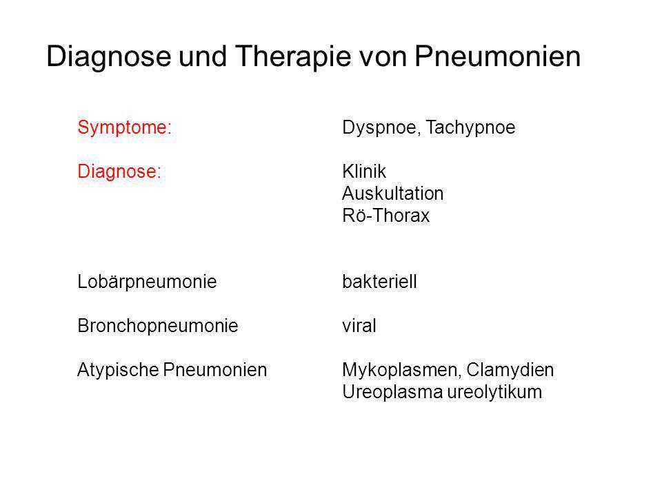 Diagnose und Therapie von Pneumonien