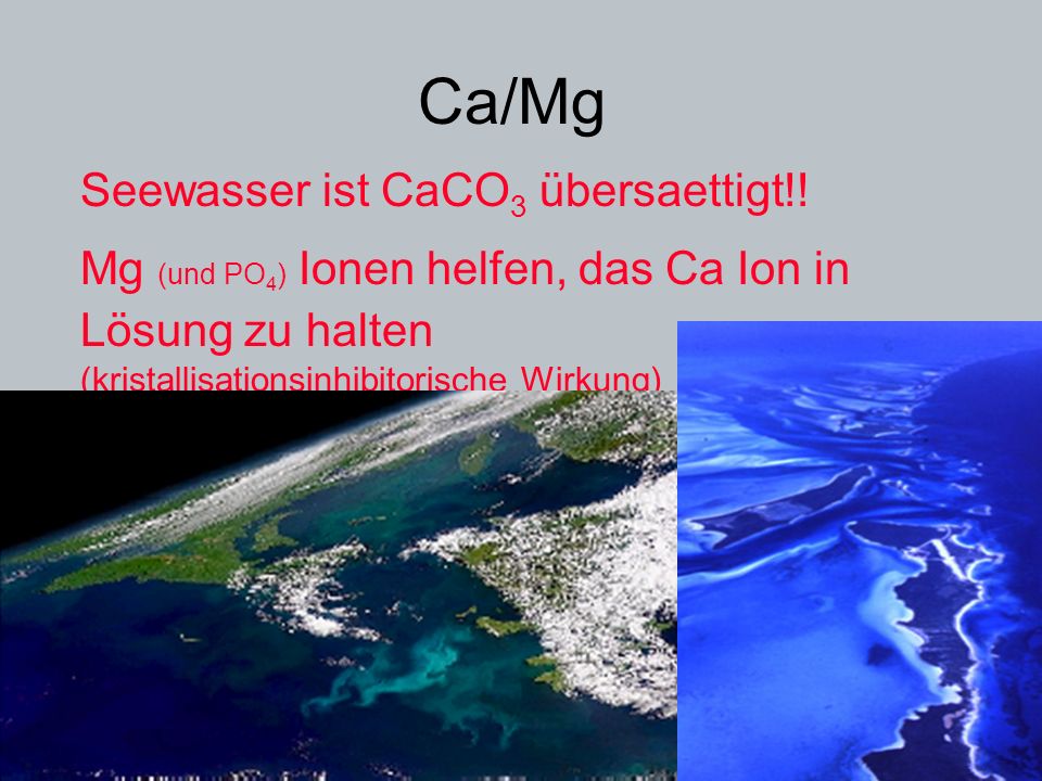 Ca/Mg Seewasser ist CaCO3 übersaettigt!!