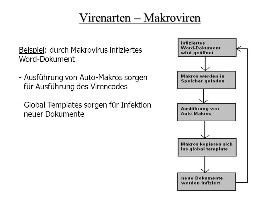 Virenarten – Makroviren