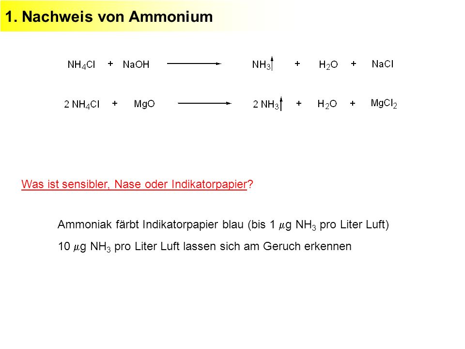 1. Nachweis von Ammonium Was ist sensibler, Nase oder Indikatorpapier