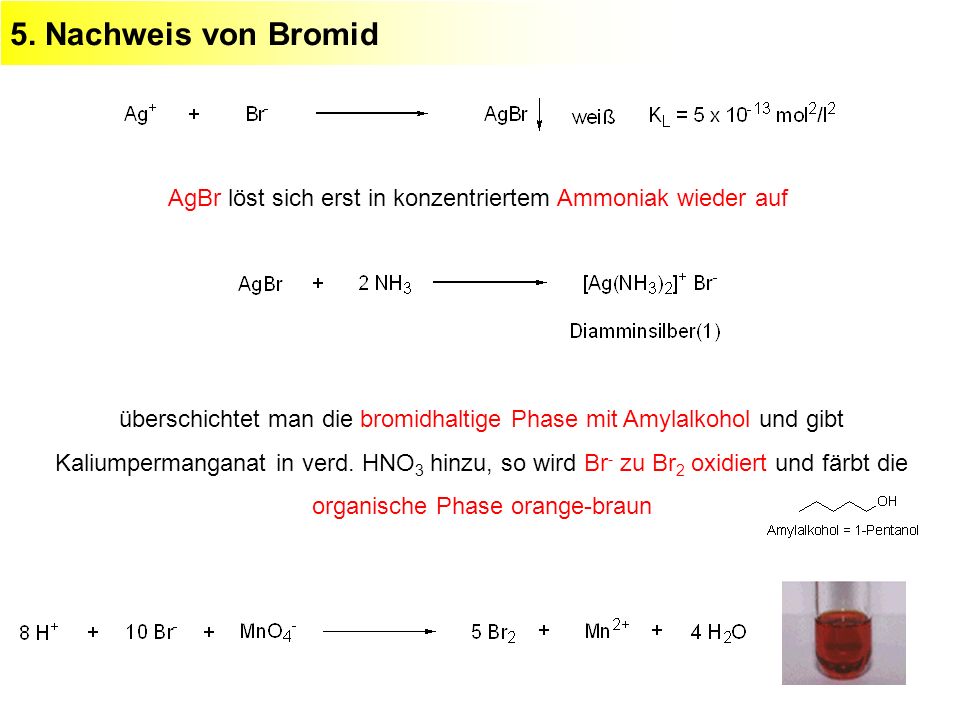5. Nachweis von Bromid AgBr löst sich erst in konzentriertem Ammoniak wieder auf.