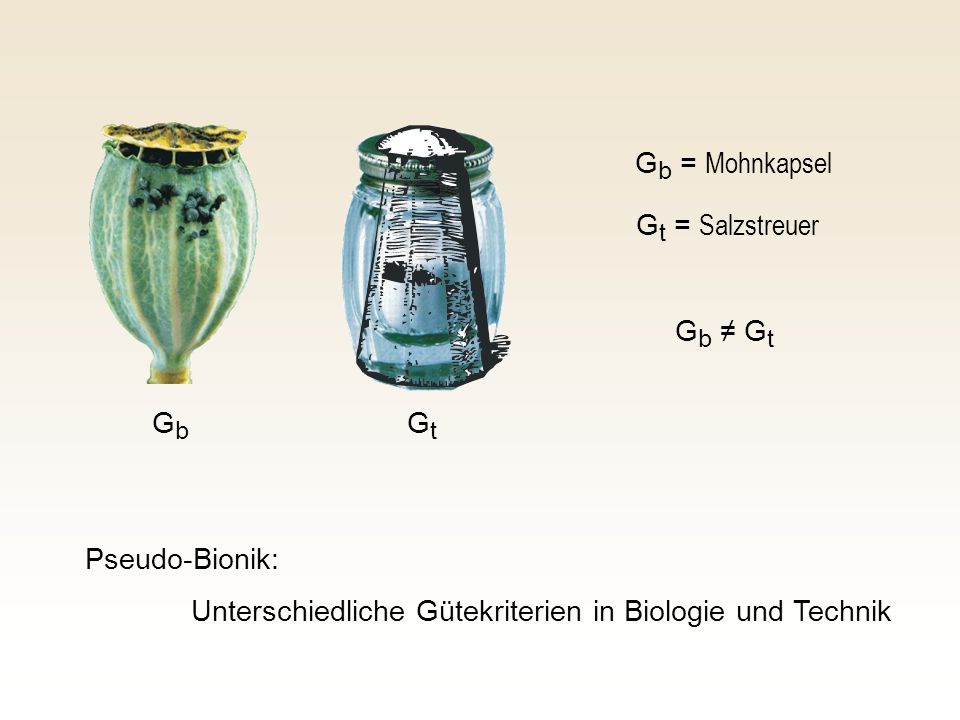 Gb = Mohnkapsel Gt = Salzstreuer. Gb ≠ Gt. Gb.