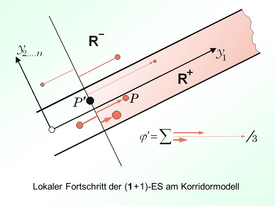 P 3 Lokaler Fortschritt der (1 + 1)-ES am Korridormodell
