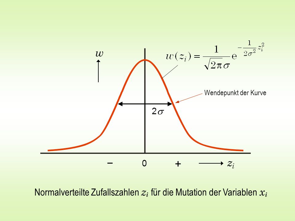 w Wendepunkt der Kurve 2s + zi Normalverteilte Zufallszahlen zi für die Mutation der Variablen xi