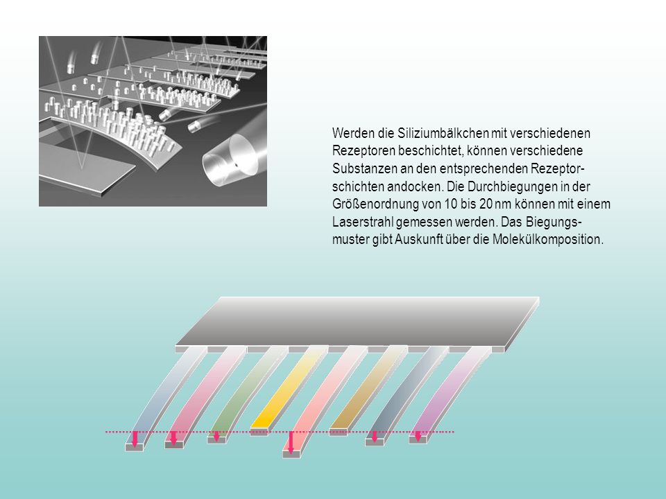 Werden die Siliziumbälkchen mit verschiedenen Rezeptoren beschichtet, können verschiedene Substanzen an den entsprechenden Rezeptor-schichten andocken.