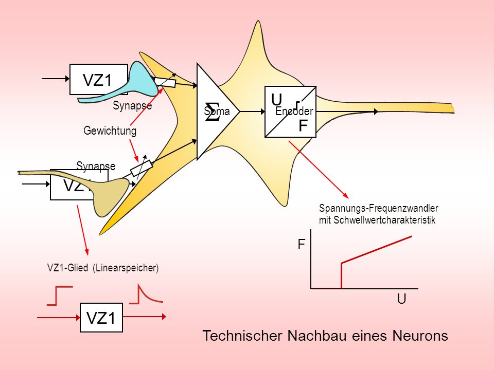S VZ1 U F VZ1 VZ1 Technischer Nachbau eines Neurons F U Synapse Soma