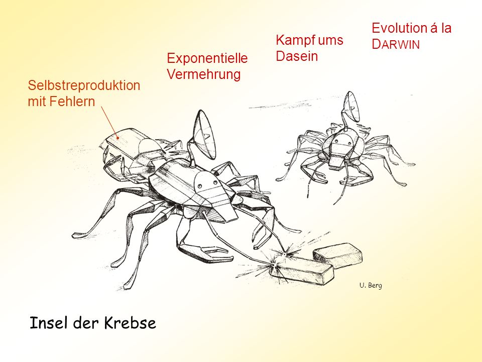 Insel der Krebse Evolution á la DARWIN Kampf ums Dasein