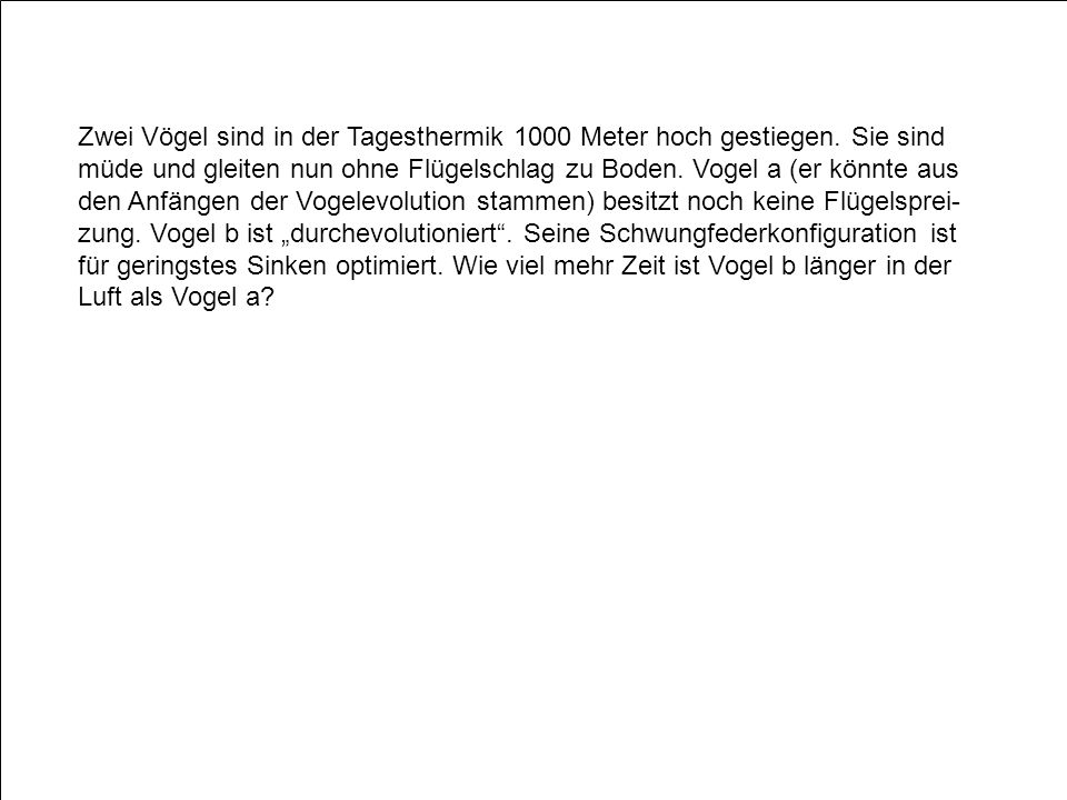 Zwei Vögel sind in der Tagesthermik 1000 Meter hoch gestiegen