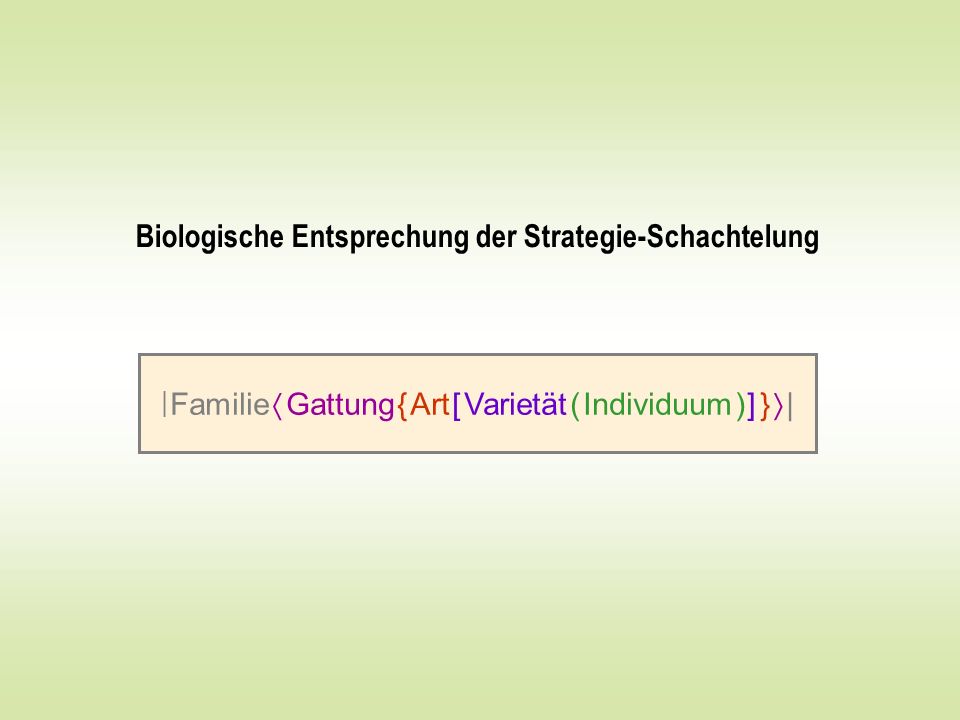 | Familie  Gattung { Art [ Varietät ( Individuum ) ] }  |