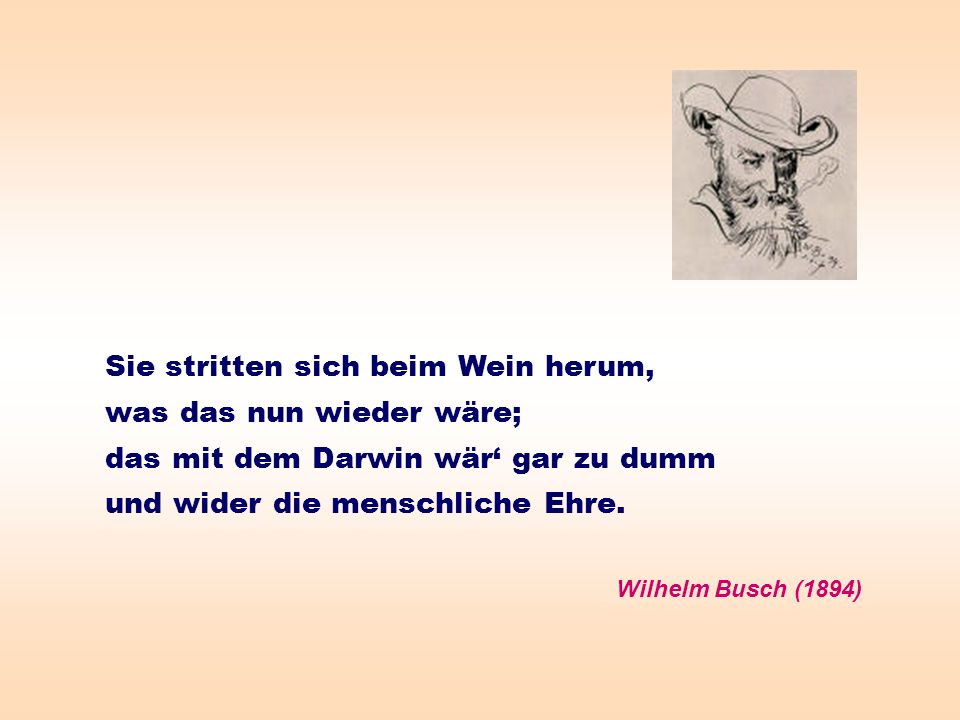 Sie stritten sich beim Wein herum, was das nun wieder wäre;