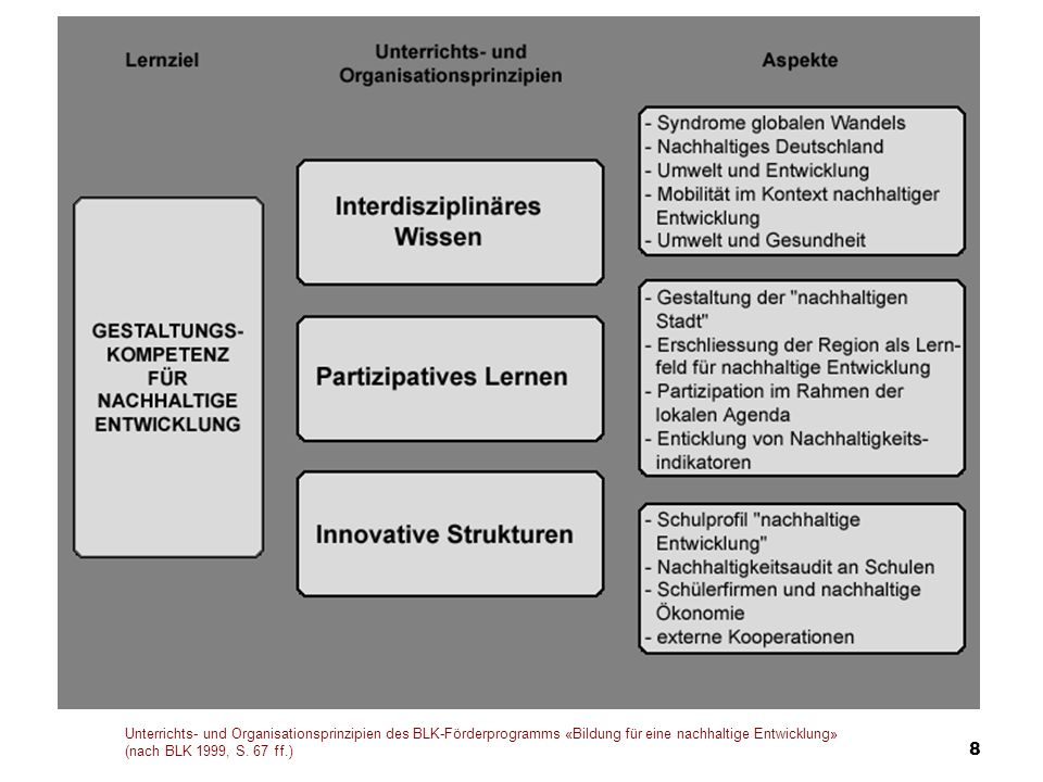 Unterrichts- und Organisationsprinzipien des BLK-Förderprogramms «Bildung für eine nachhaltige Entwicklung» (nach BLK 1999, S.
