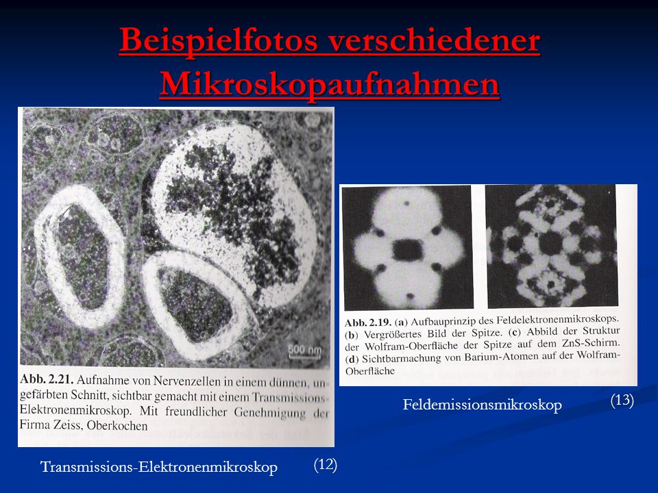 Beispielfotos verschiedener Mikroskopaufnahmen