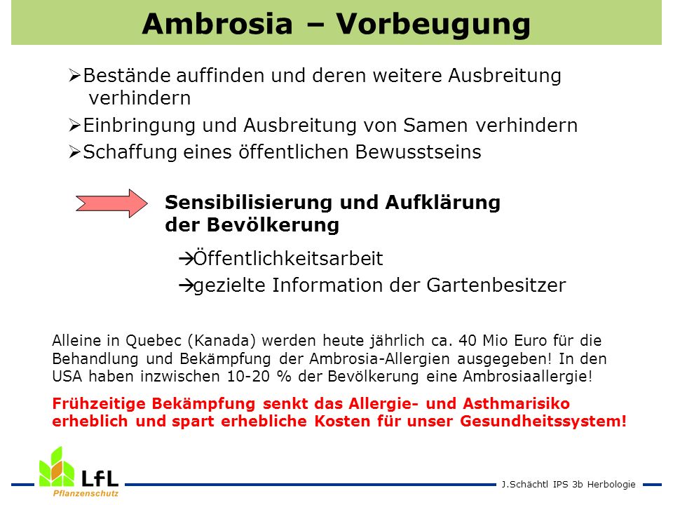 Ambrosia – Vorbeugung Bestände auffinden und deren weitere Ausbreitung verhindern. Einbringung und Ausbreitung von Samen verhindern.