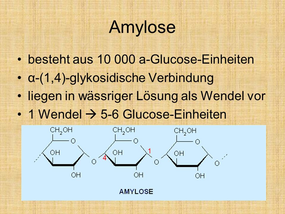 Amylose besteht aus a-Glucose-Einheiten