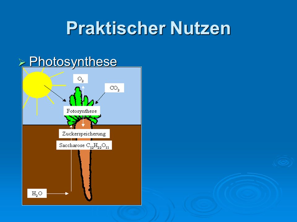 Praktischer Nutzen Photosynthese