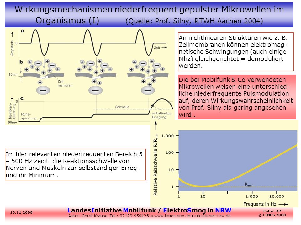 Wirkungsmechanismen niederfrequent gepulster Mikrowellen im Organismus (I) (Quelle: Prof. Silny, RTWH Aachen 2004)