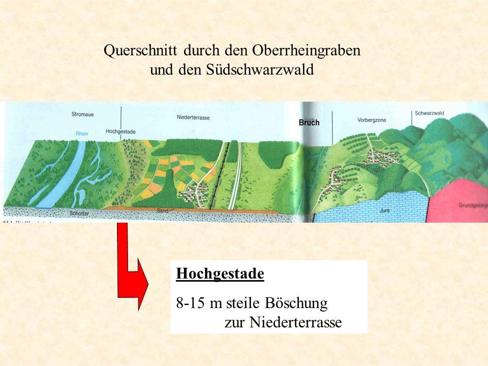 Querschnitt durch den Oberrheingraben und den Südschwarzwald