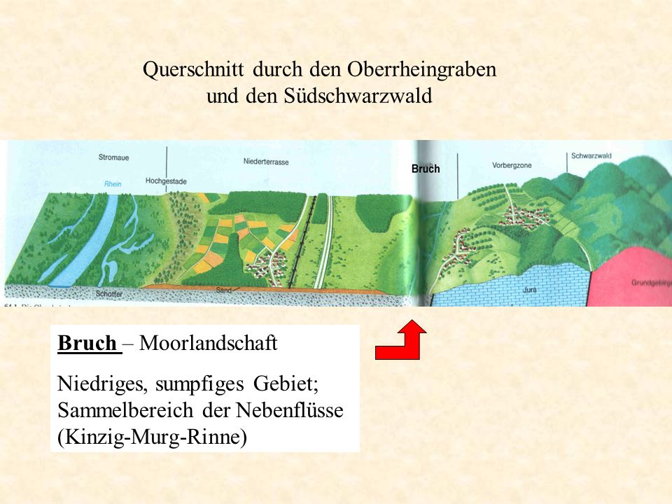 Querschnitt durch den Oberrheingraben und den Südschwarzwald