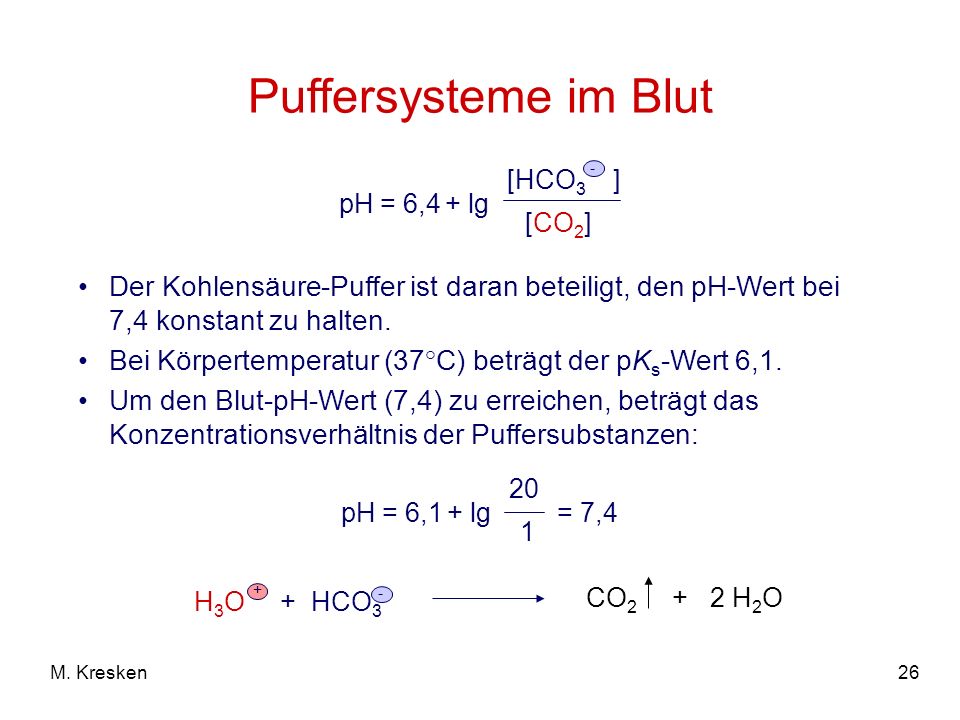Puffersysteme im Blut pH = 6,4 + lg. [HCO3 ] - [CO2] Der Kohlensäure-Puffer ist daran beteiligt, den pH-Wert bei 7,4 konstant zu halten.