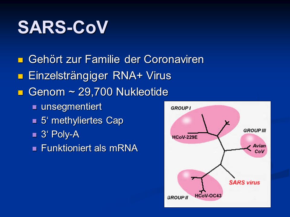 SARS-CoV Gehört zur Familie der Coronaviren