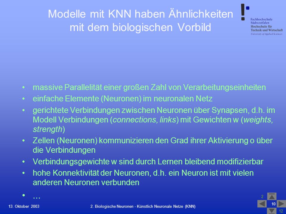 Modelle mit KNN haben Ähnlichkeiten mit dem biologischen Vorbild