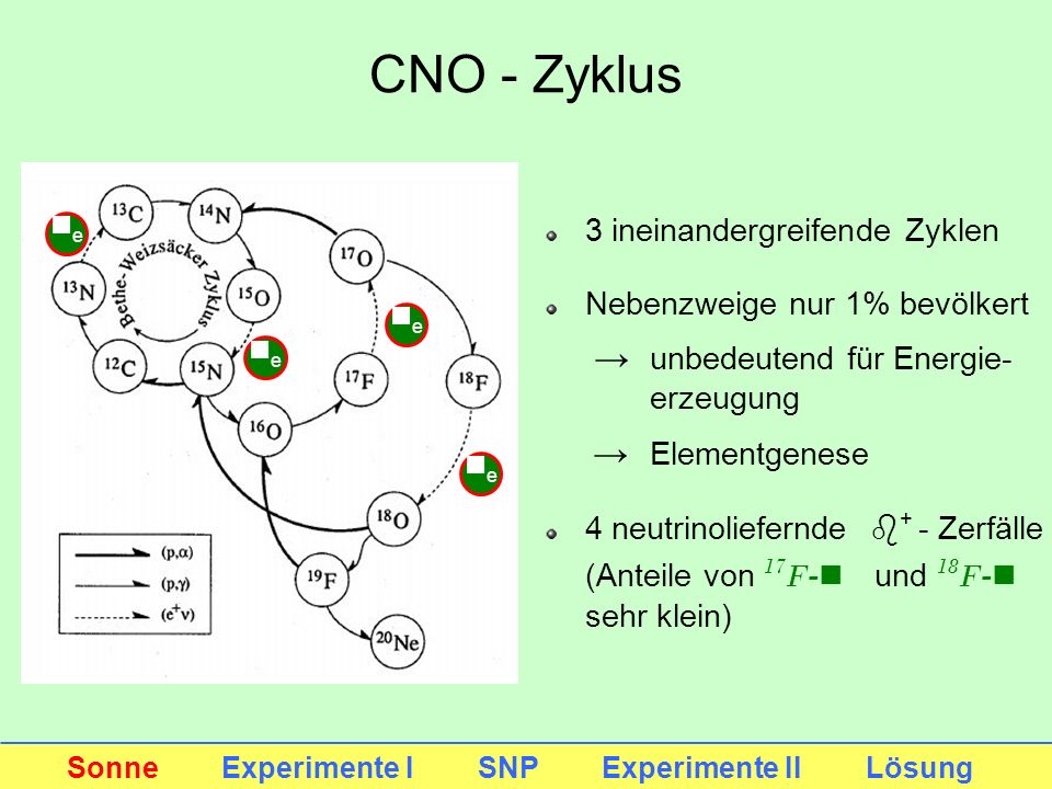 CNO - Zyklus 3 ineinandergreifende Zyklen Nebenzweige nur 1% bevölkert