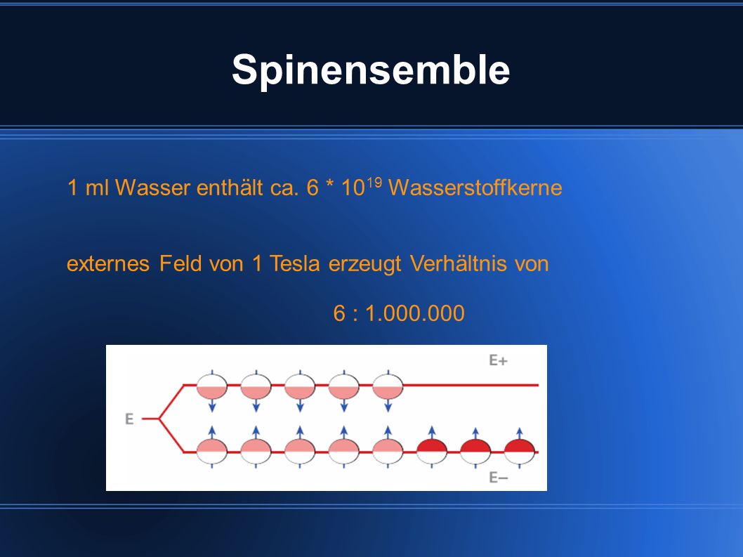 Spinensemble 1 ml Wasser enthält ca. 6 * 1019 Wasserstoffkerne