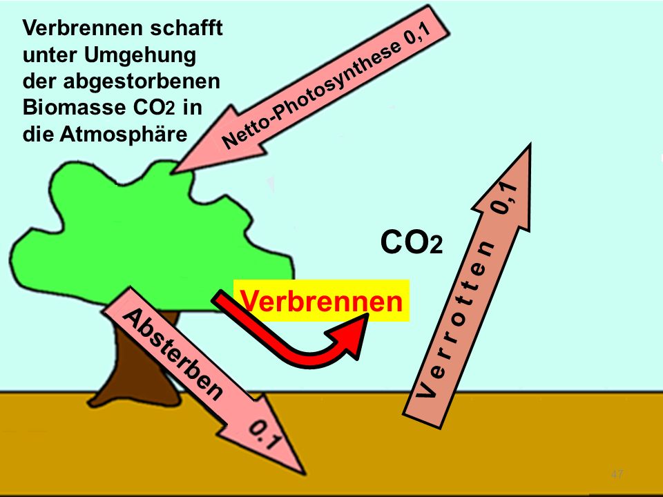 CO2 Verbrennen V e r r o t t e n 0,1