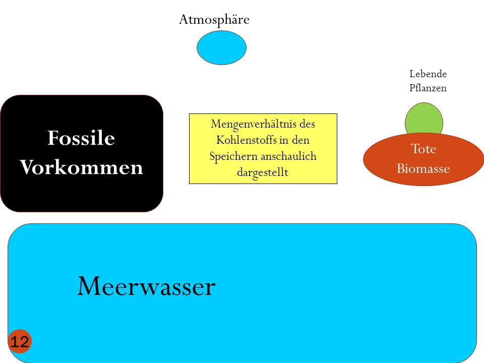 Meerwasser Fossile Vorkommen Atmosphäre Tote Biomasse