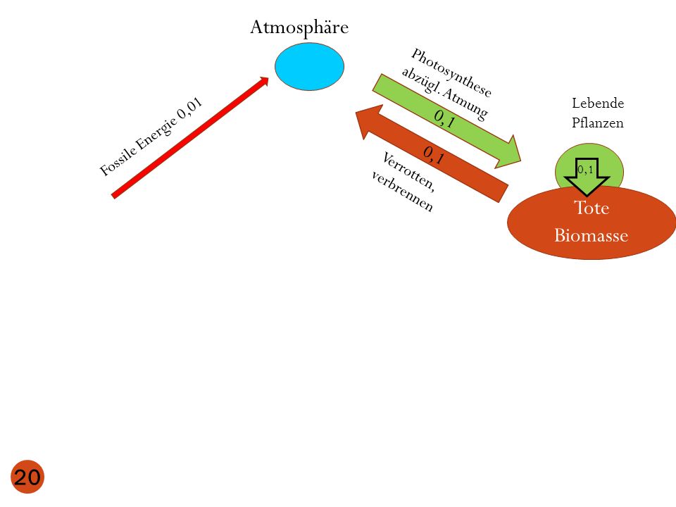 Atmosphäre Tote Biomasse 0,1 0,1 Photosynthese abzügl. Atmung Lebende