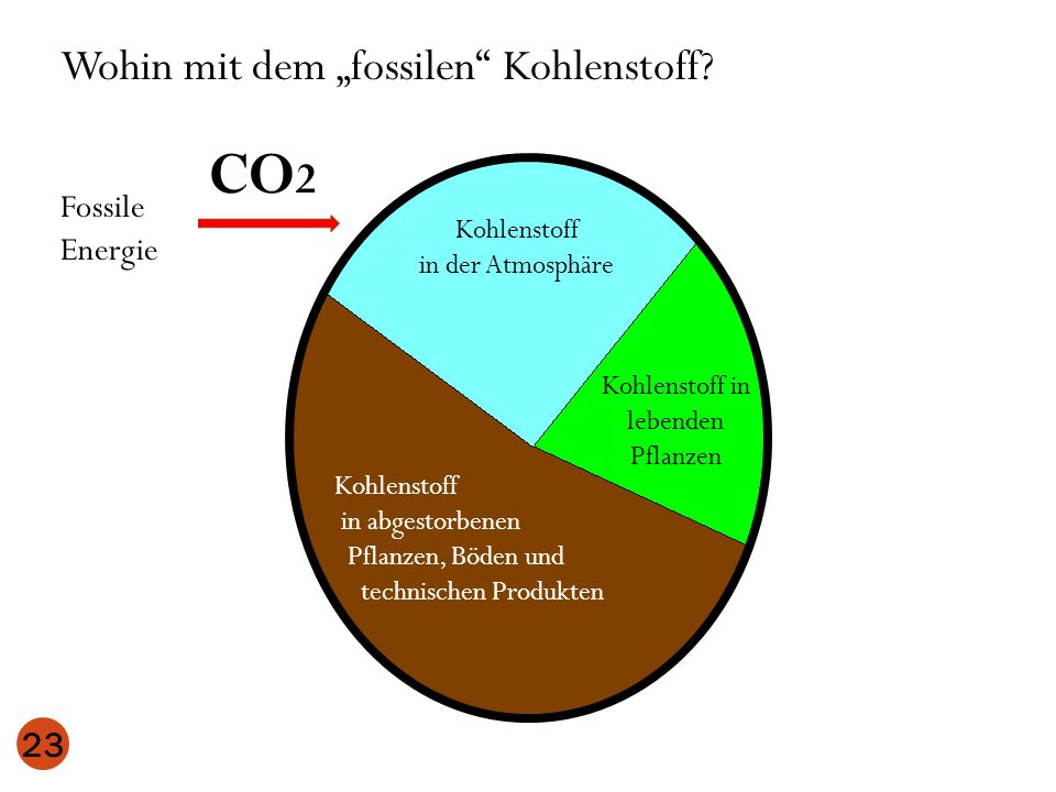 Kohlenstoff in lebenden Pflanzen