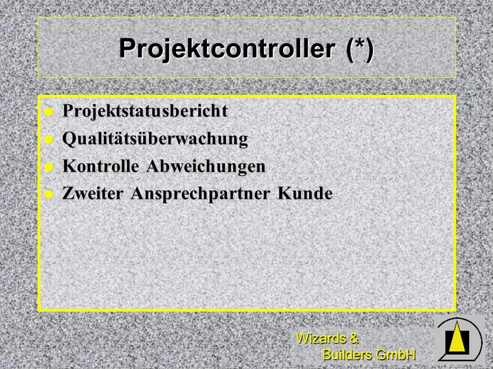 Projektcontroller (*)