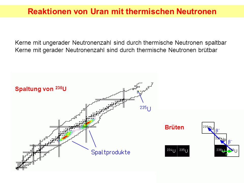 Reaktionen von Uran mit thermischen Neutronen