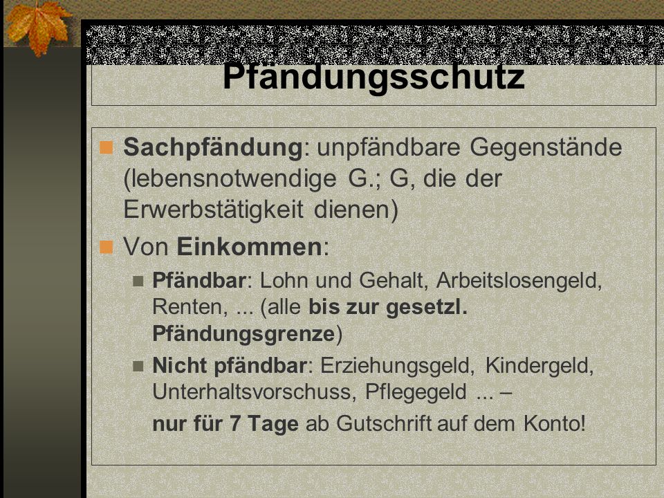 Pfändungsschutz Sachpfändung: unpfändbare Gegenstände (lebensnotwendige G.; G, die der Erwerbstätigkeit dienen)