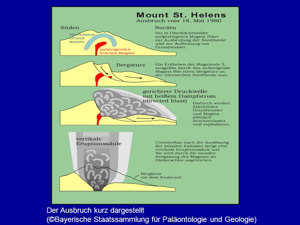 Der Ausbruch kurz dargestellt (©Bayerische Staatssammlung für Paläontologie und Geologie)