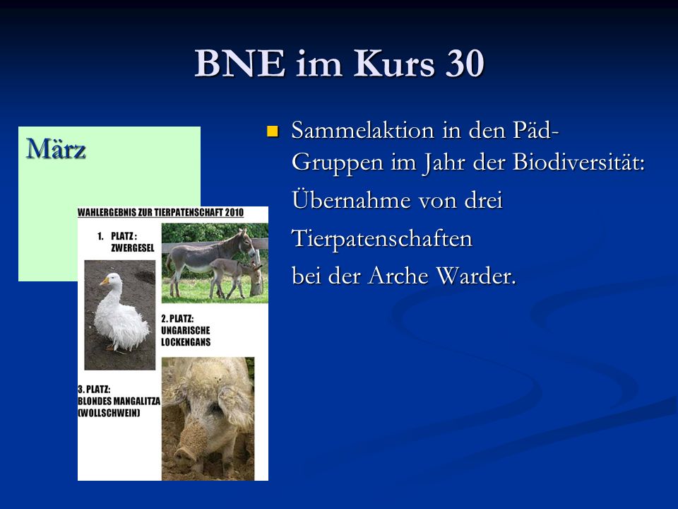 BNE im Kurs 30 Sammelaktion in den Päd-Gruppen im Jahr der Biodiversität: Übernahme von drei. Tierpatenschaften.
