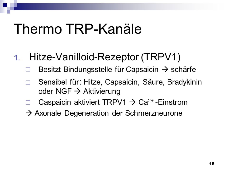 Thermo TRP-Kanäle Hitze-Vanilloid-Rezeptor (TRPV1)