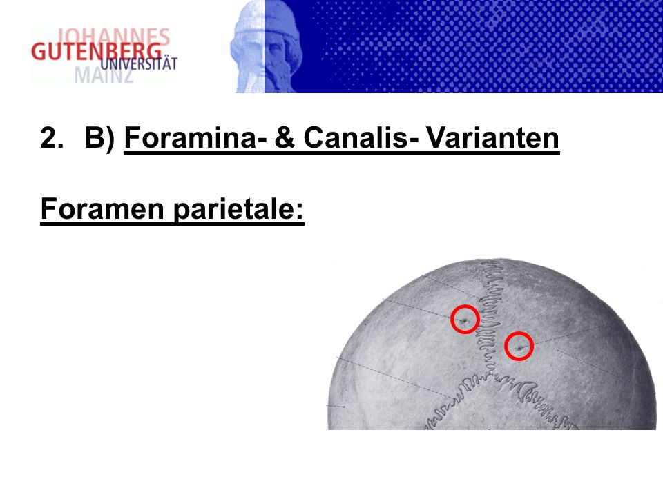 B) Foramina- & Canalis- Varianten