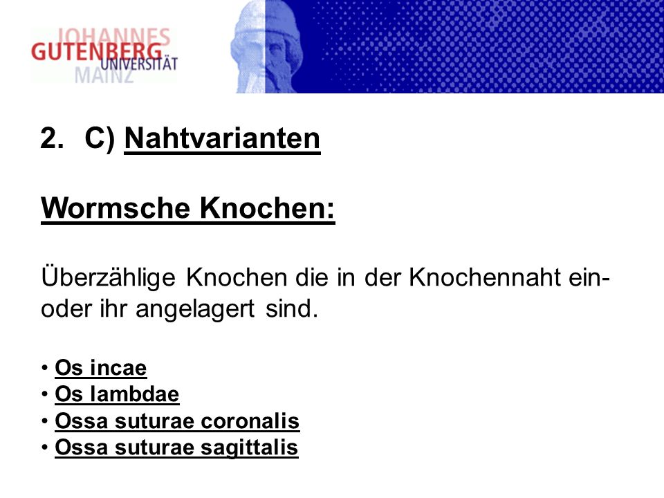 C) Nahtvarianten Wormsche Knochen: