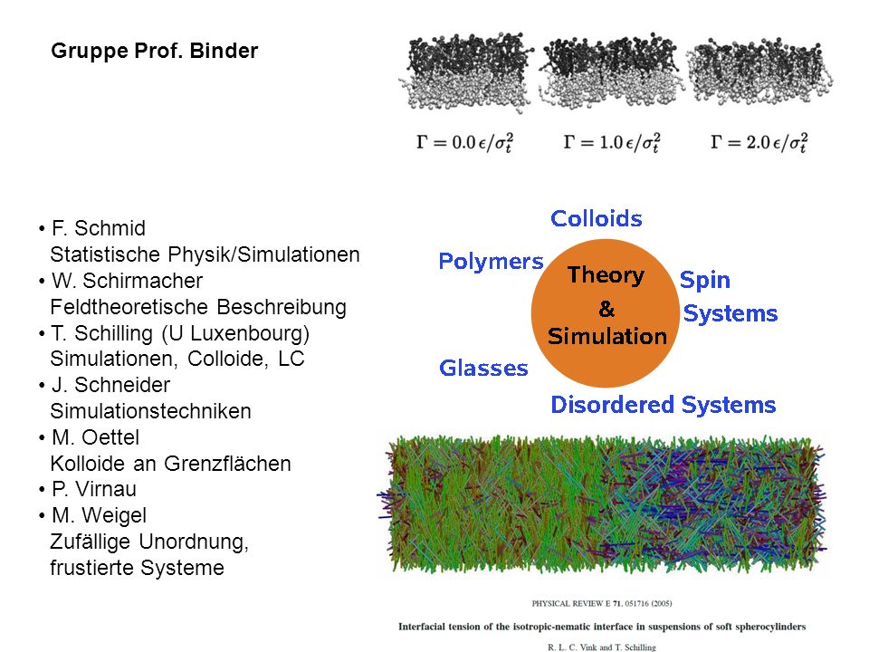 Gruppe Prof. Binder F. Schmid Statistische Physik/Simulationen. W. Schirmacher Feldtheoretische Beschreibung.