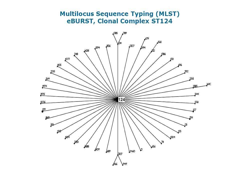 Multilocus Sequence Typing (MLST) eBURST, Clonal Complex ST124