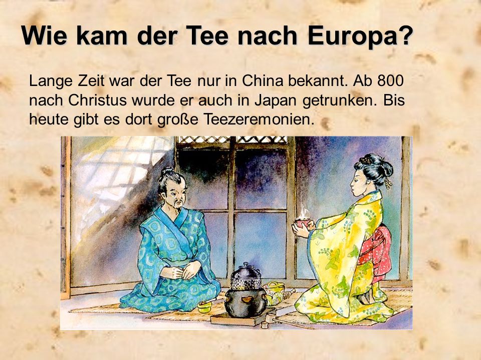 Wie kam der Tee nach Europa