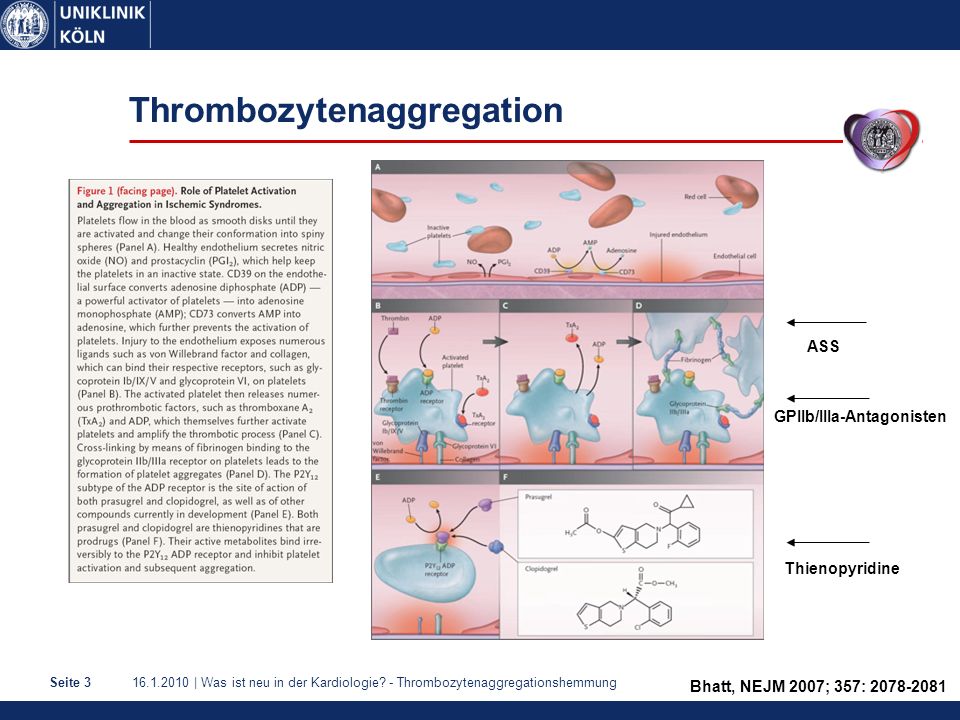 Thrombozytenaggregation