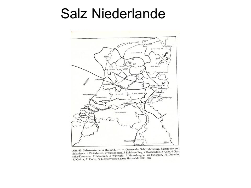 Salz Niederlande