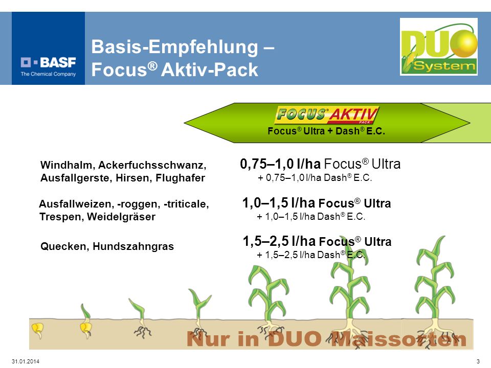 Nur in DUO Maissorten Basis-Empfehlung – Focus® Aktiv-Pack