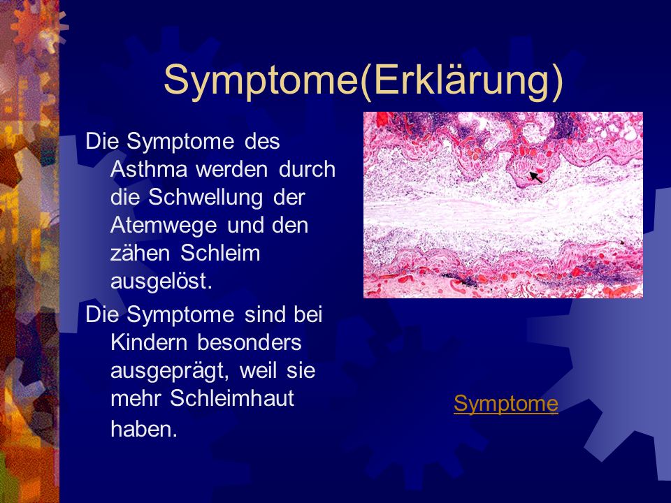 Symptome(Erklärung) Die Symptome des Asthma werden durch die Schwellung der Atemwege und den zähen Schleim ausgelöst.