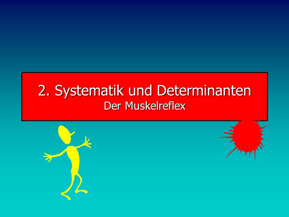 2. Systematik und Determinanten Der Muskelreflex