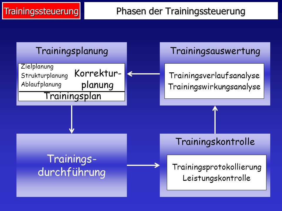 Phasen der Trainingssteuerung