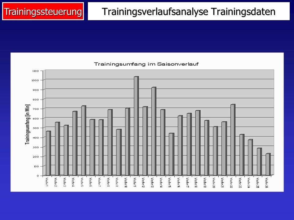 Trainingsverlaufsanalyse Trainingsdaten