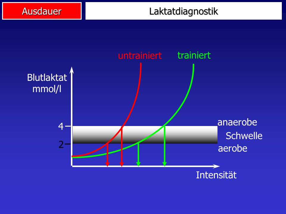 Laktatdiagnostik untrainiert trainiert Blutlaktat mmol/l Intensität Schwelle anaerobe aerobe 4 2